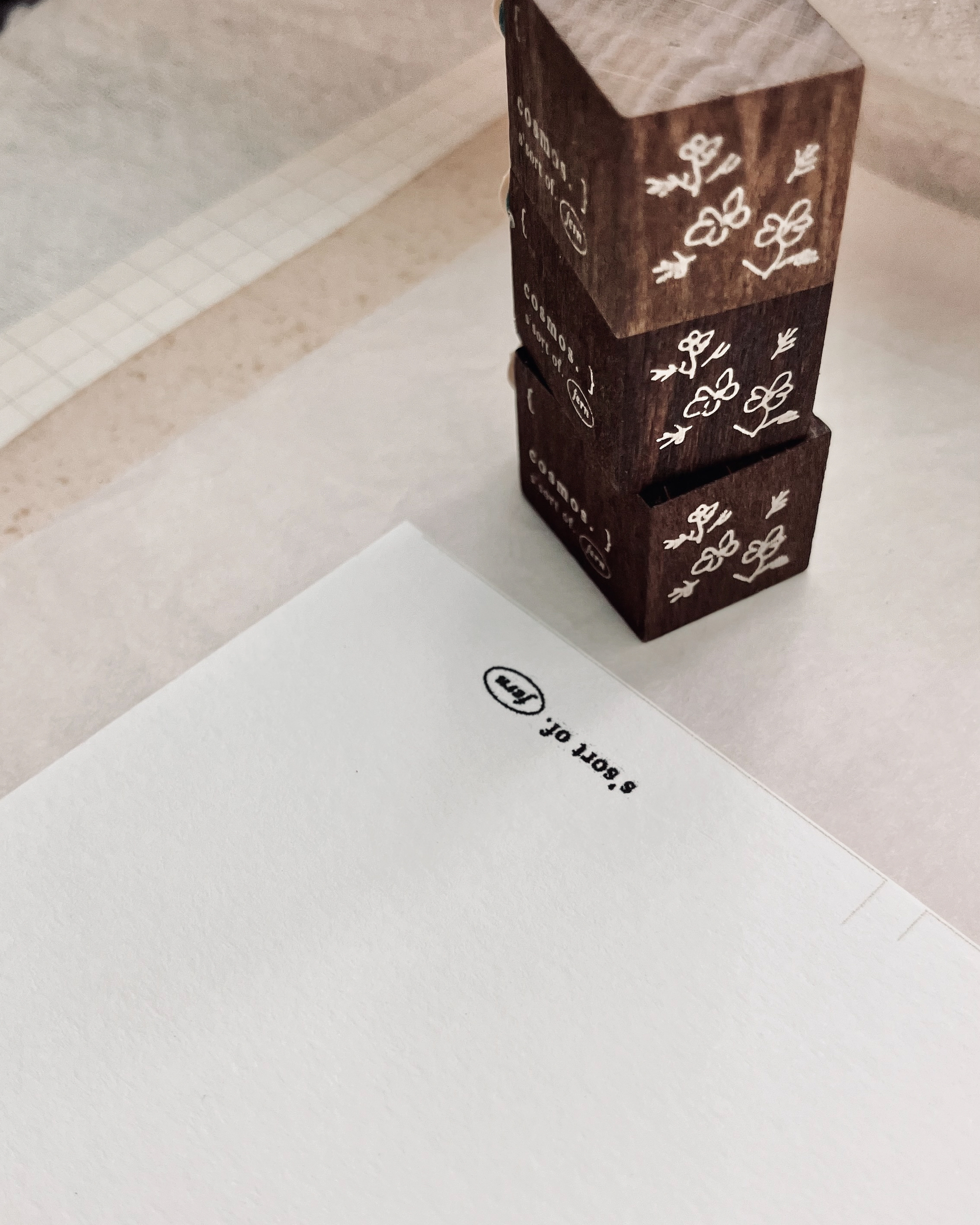 大波斯菊 𝐜𝐨𝐬𝐦𝐨𝐬 4