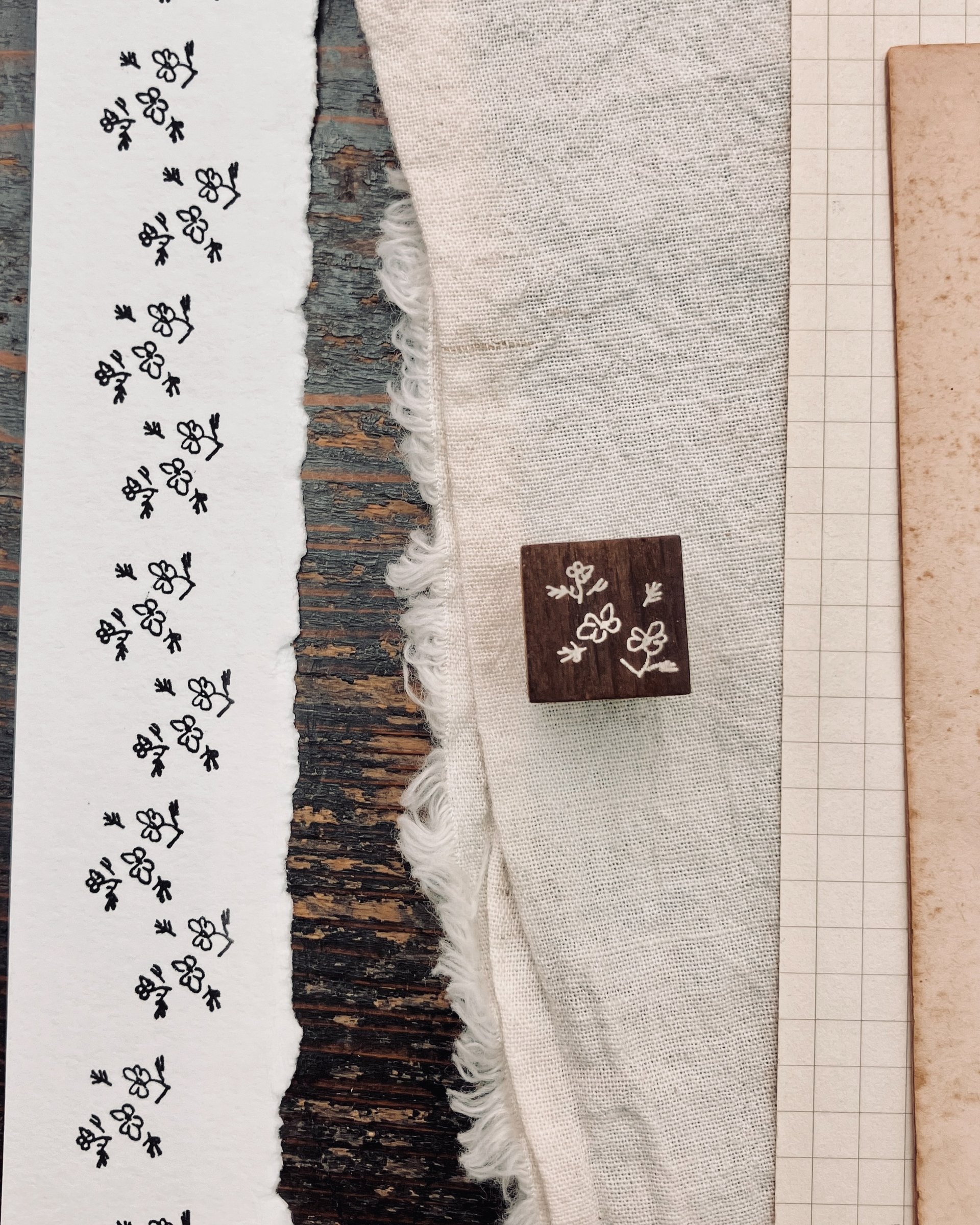 大波斯菊 𝐜𝐨𝐬𝐦𝐨𝐬 3