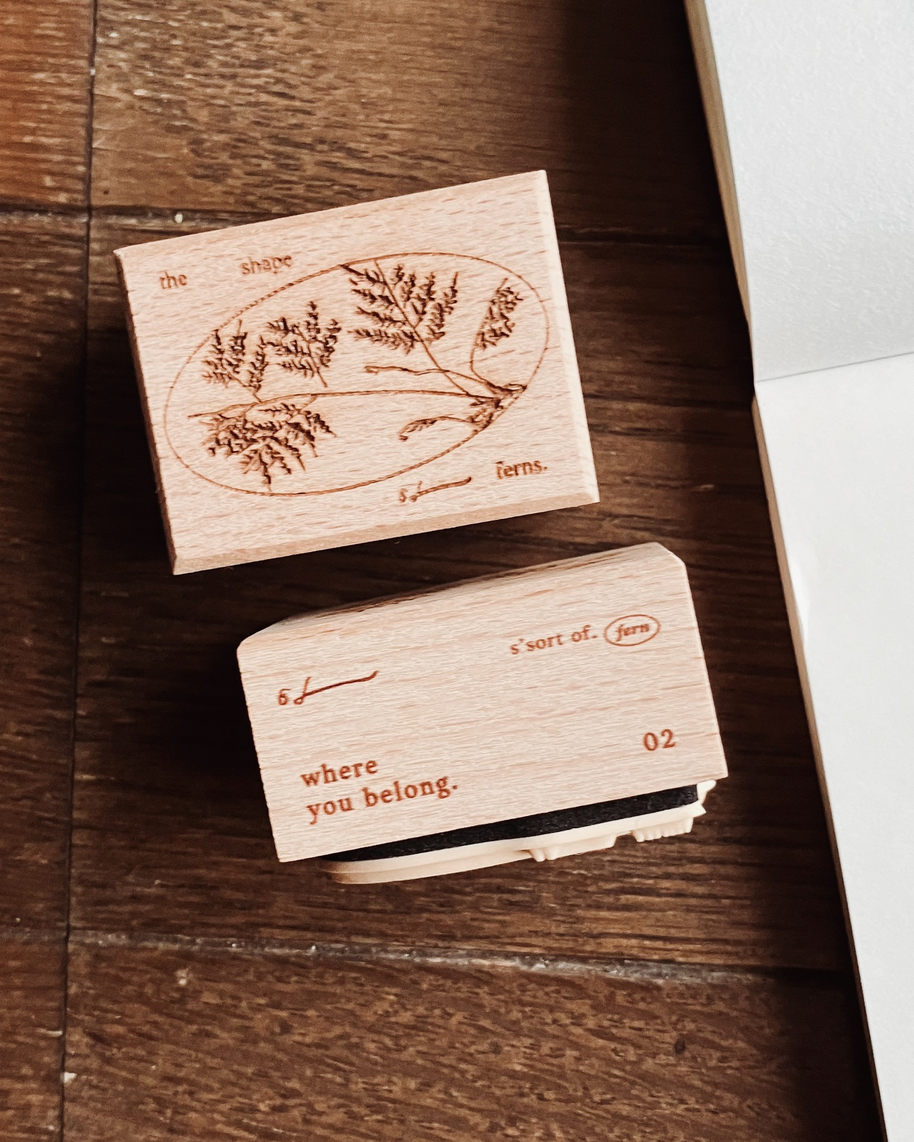 𝐟𝐫𝐨𝐦 𝐩𝐮𝐫𝐫 𝐭𝐨 𝐩𝐞𝐚𝐜𝐞, 𝐚𝐧𝐝 𝐭𝐡𝐞 𝐬𝐡𝐚𝐩𝐞 𝐨𝐟 𝐟𝐞𝐫𝐧𝐬 3