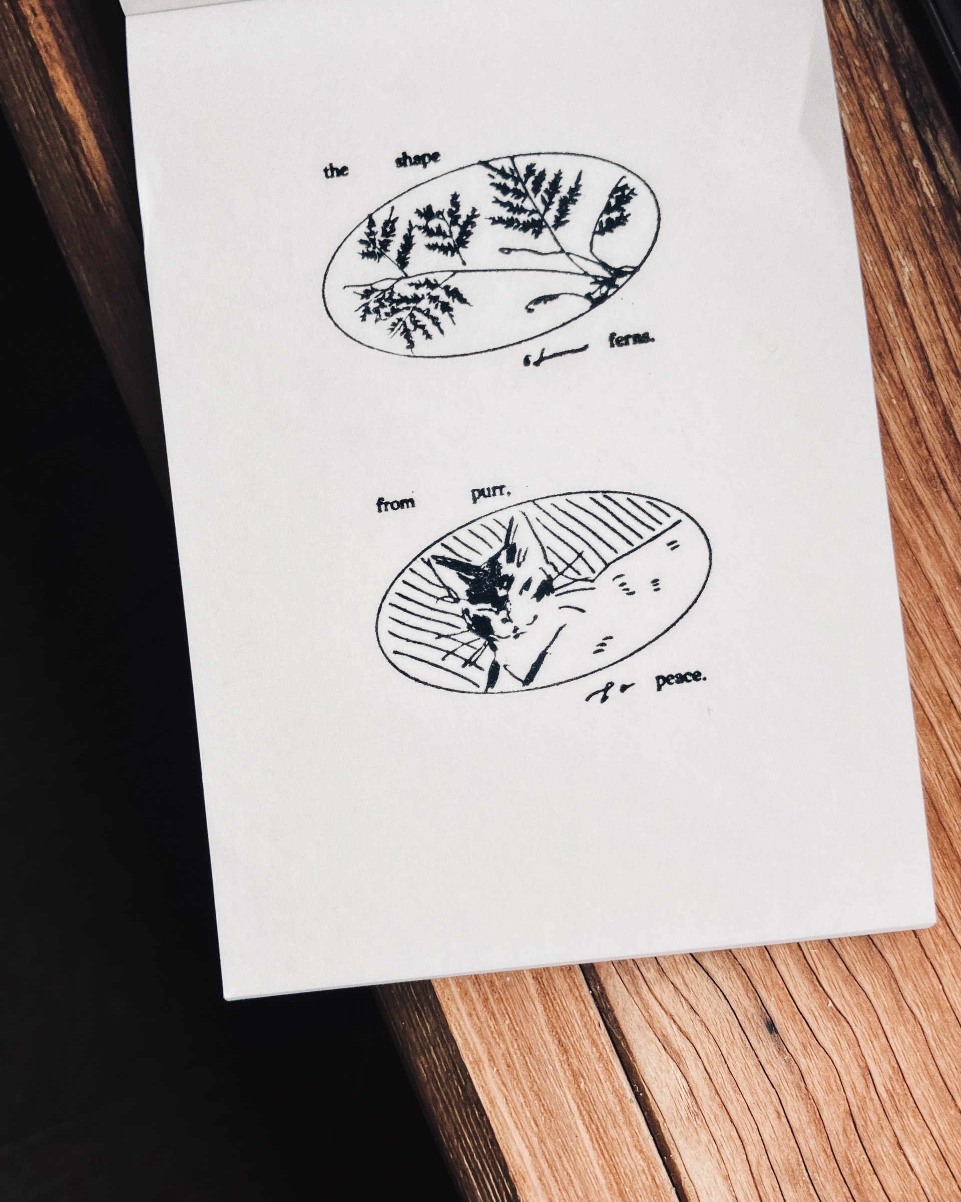 𝐟𝐫𝐨𝐦 𝐩𝐮𝐫𝐫 𝐭𝐨 𝐩𝐞𝐚𝐜𝐞, 𝐚𝐧𝐝 𝐭𝐡𝐞 𝐬𝐡𝐚𝐩𝐞 𝐨𝐟 𝐟𝐞𝐫𝐧𝐬 4