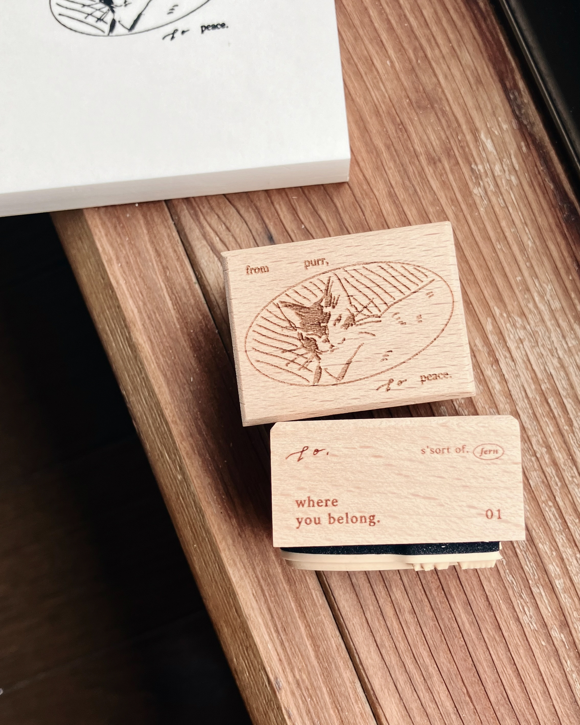 𝐟𝐫𝐨𝐦 𝐩𝐮𝐫𝐫 𝐭𝐨 𝐩𝐞𝐚𝐜𝐞, 𝐚𝐧𝐝 𝐭𝐡𝐞 𝐬𝐡𝐚𝐩𝐞 𝐨𝐟 𝐟𝐞𝐫𝐧𝐬 6