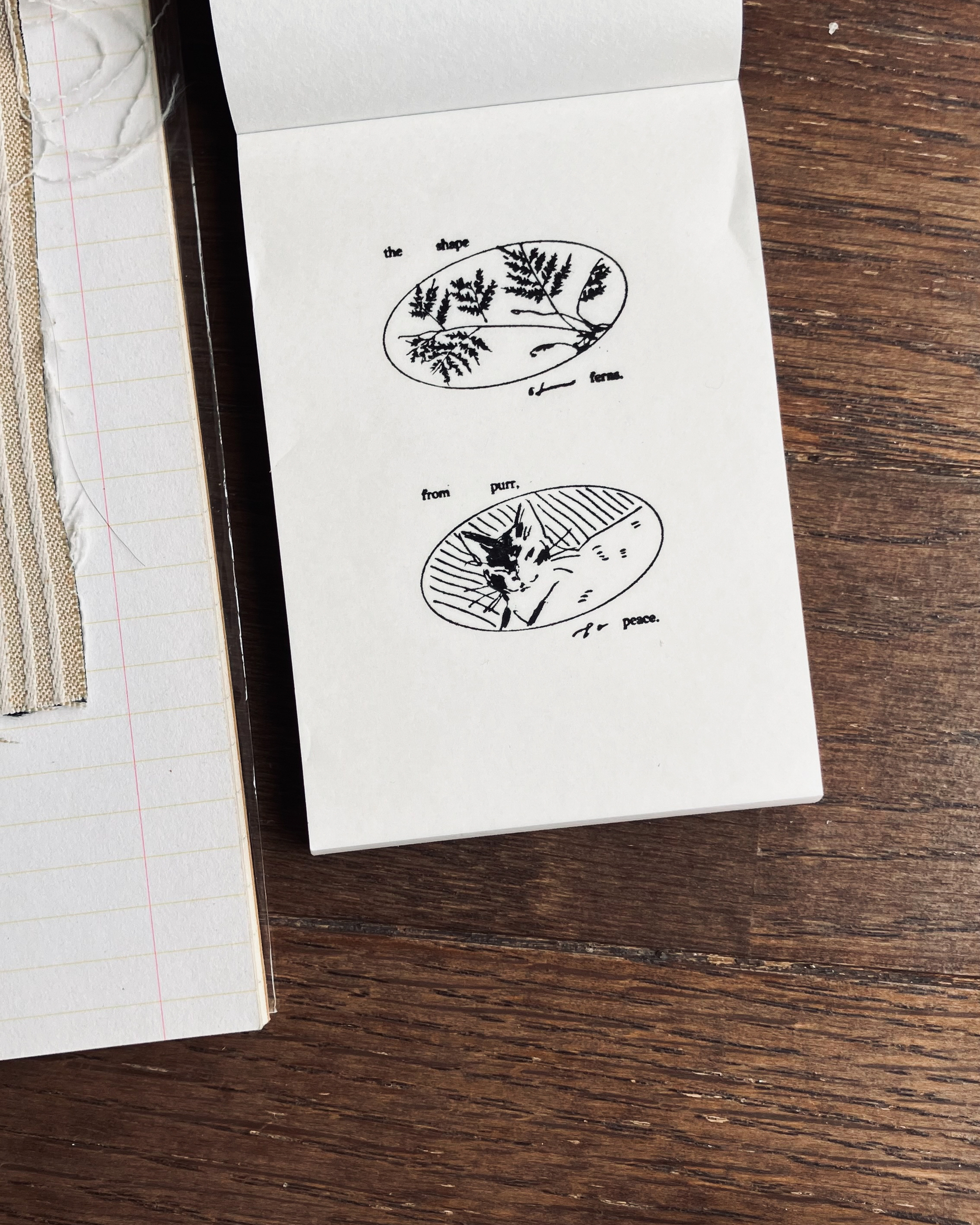 𝐟𝐫𝐨𝐦 𝐩𝐮𝐫𝐫 𝐭𝐨 𝐩𝐞𝐚𝐜𝐞, 𝐚𝐧𝐝 𝐭𝐡𝐞 𝐬𝐡𝐚𝐩𝐞 𝐨𝐟 𝐟𝐞𝐫𝐧𝐬 8