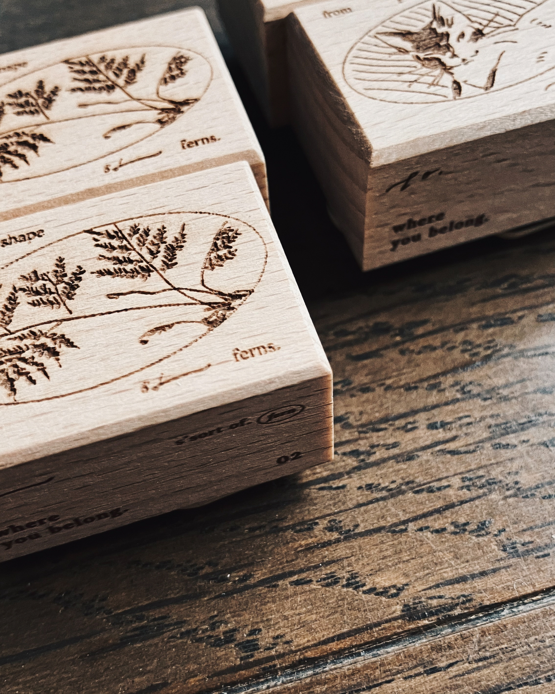 𝐟𝐫𝐨𝐦 𝐩𝐮𝐫𝐫 𝐭𝐨 𝐩𝐞𝐚𝐜𝐞, 𝐚𝐧𝐝 𝐭𝐡𝐞 𝐬𝐡𝐚𝐩𝐞 𝐨𝐟 𝐟𝐞𝐫𝐧𝐬 7