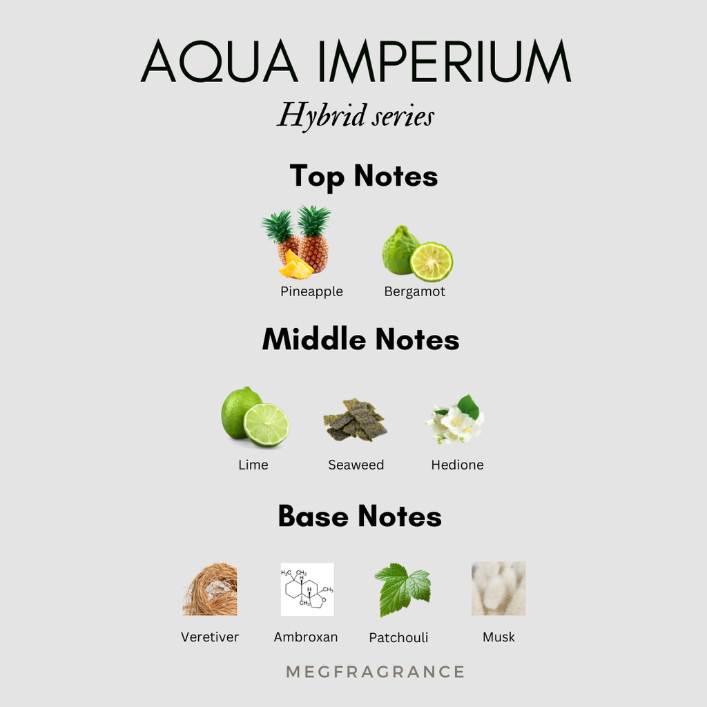 Gray And White Minimalist Perfume Instagram Post  (19)