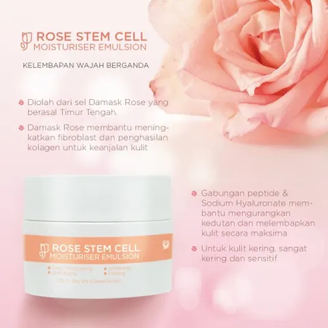 Rose Stem Cell 2.png