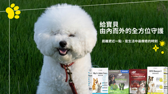 全新保健系列上線 | WANGDEFO 汪德佛寵物選品