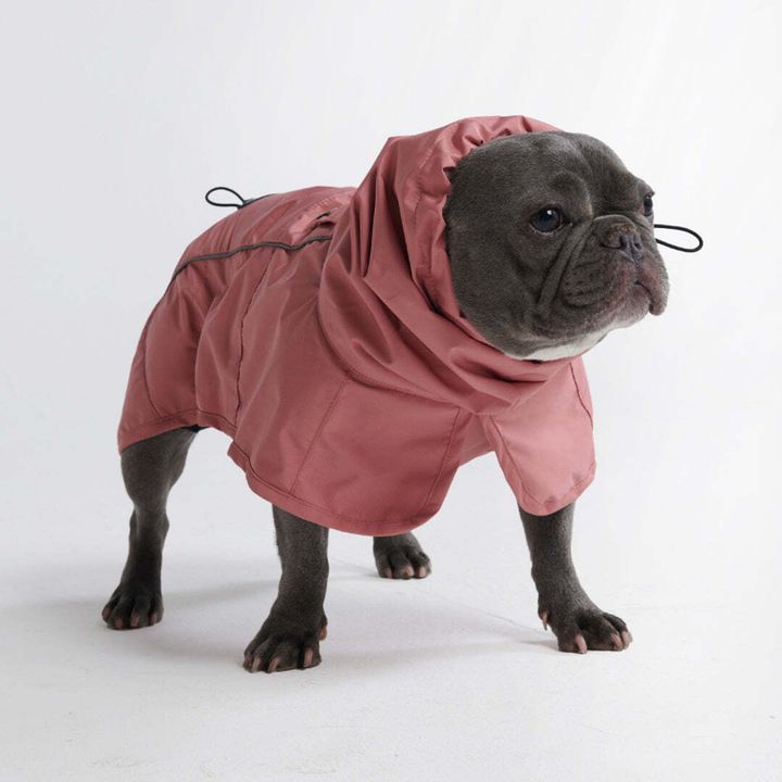 10007