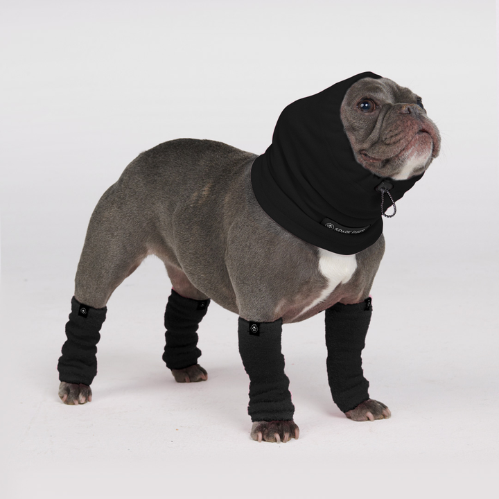 10002