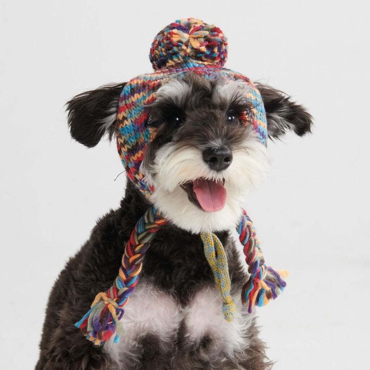dogclotheshoodiesweaterjumperdoghatsbeaniepompomjacket_1024x