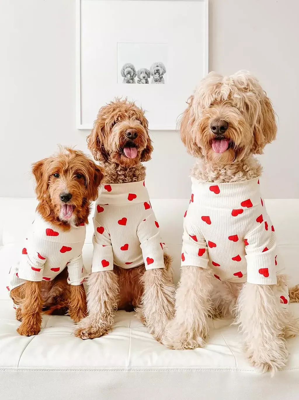 goodthomas_dogthreads-lovebug-doodle-3