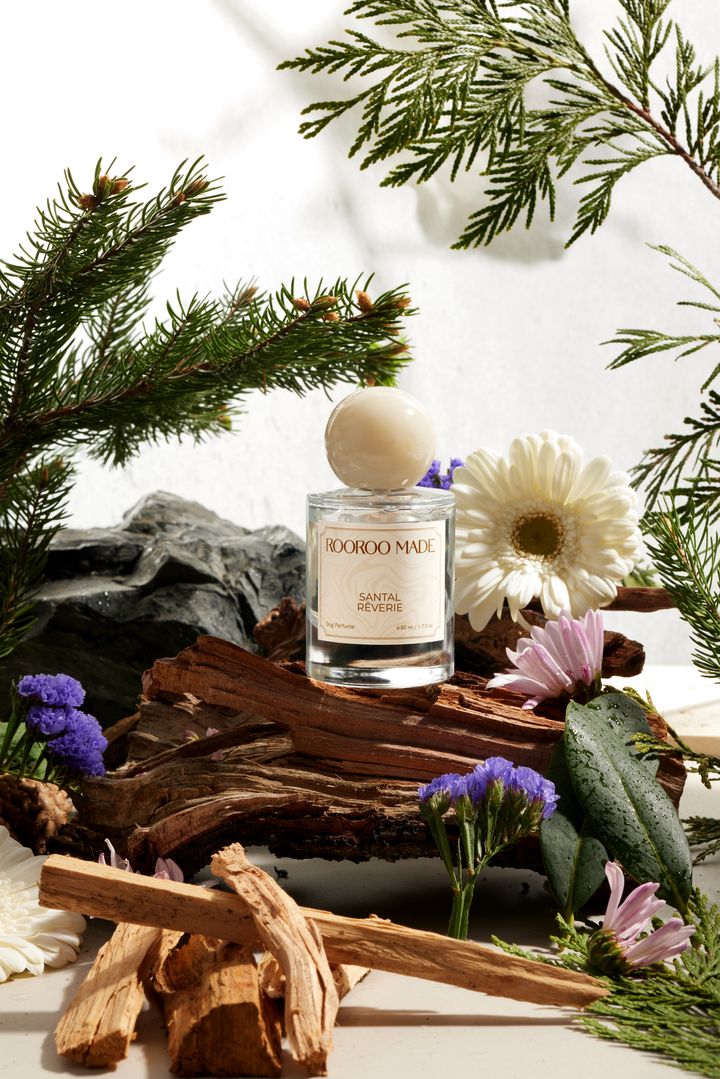 Santal Reverie poster