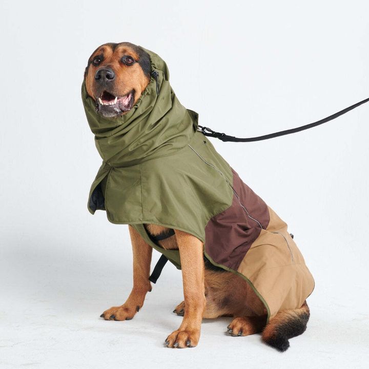 bigdograincoat_17_33502fb9-d10c-48fa-8fb0-3c74fa5ca2ea_1024x