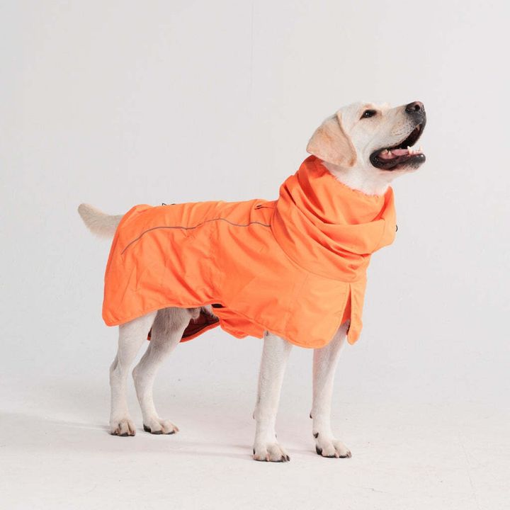 dograincoat_2_1024x