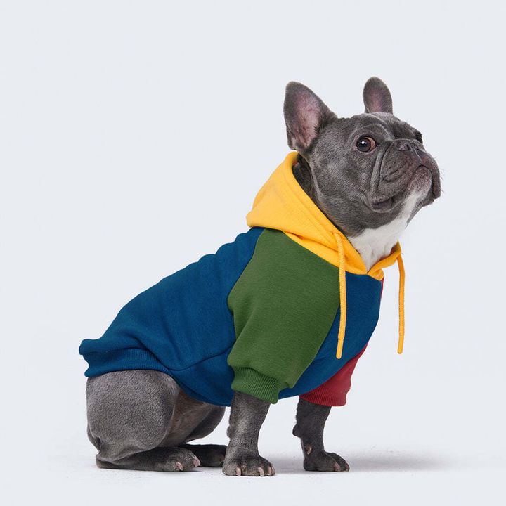 06-COLOR-dogclothes_hoodie_sweater_apparel_jacket_bigdogs_bulldogs_1024x