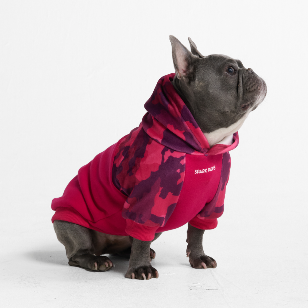 3._L_-_Dog_Hoodie_Fuschia_1024x