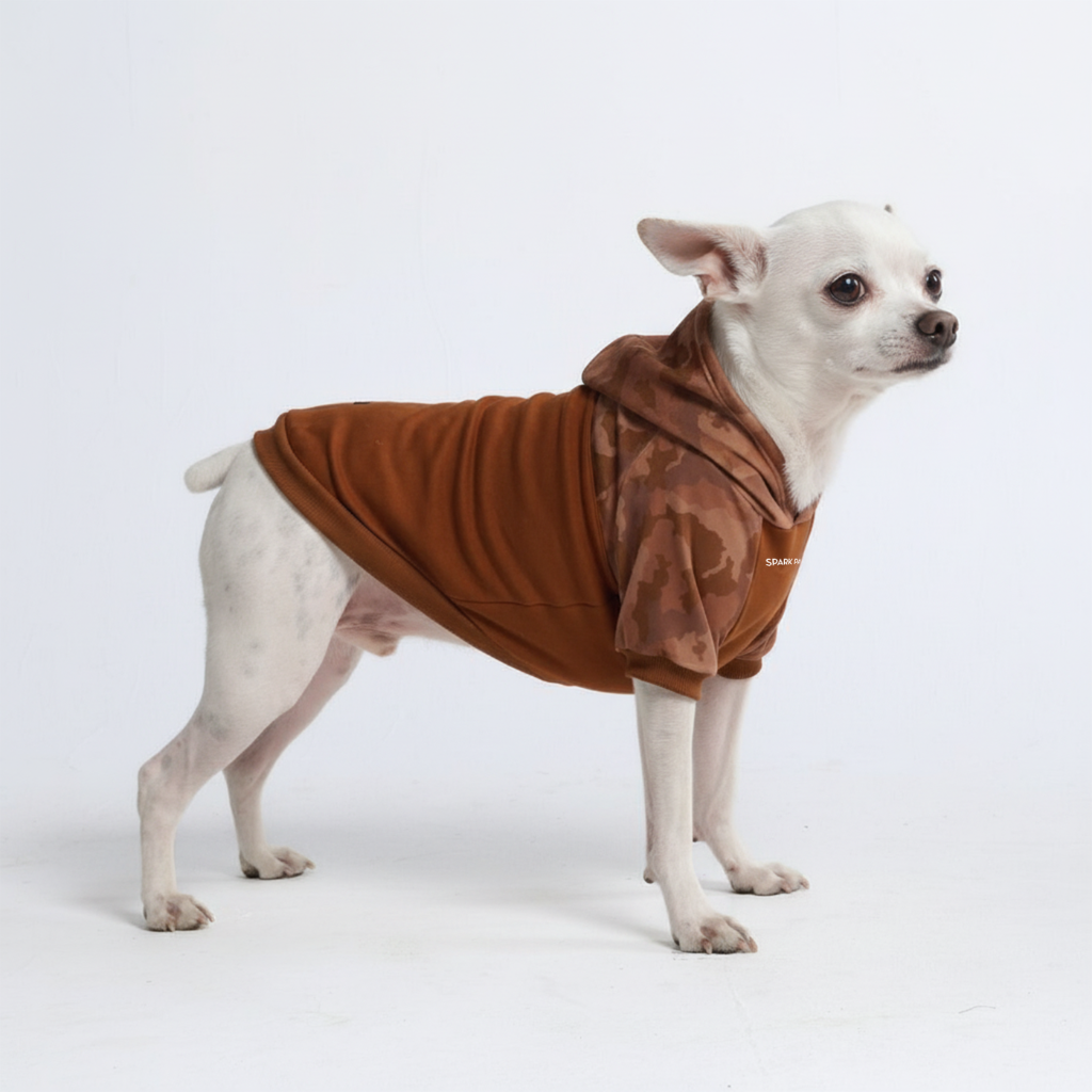 1._S_-_Dog_Hoodie_Desert_Camo_1024x