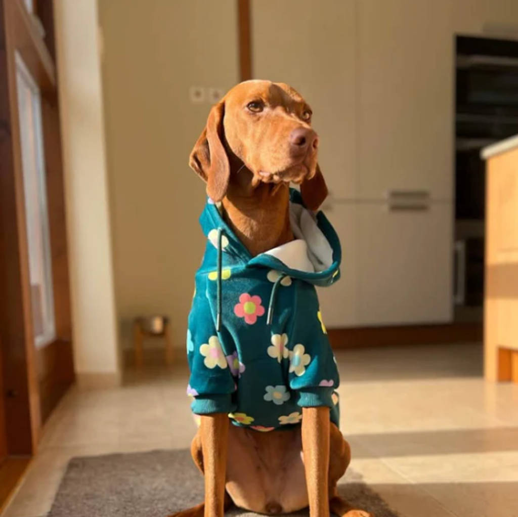 螢幕擷取畫面 2025-12-20 201656