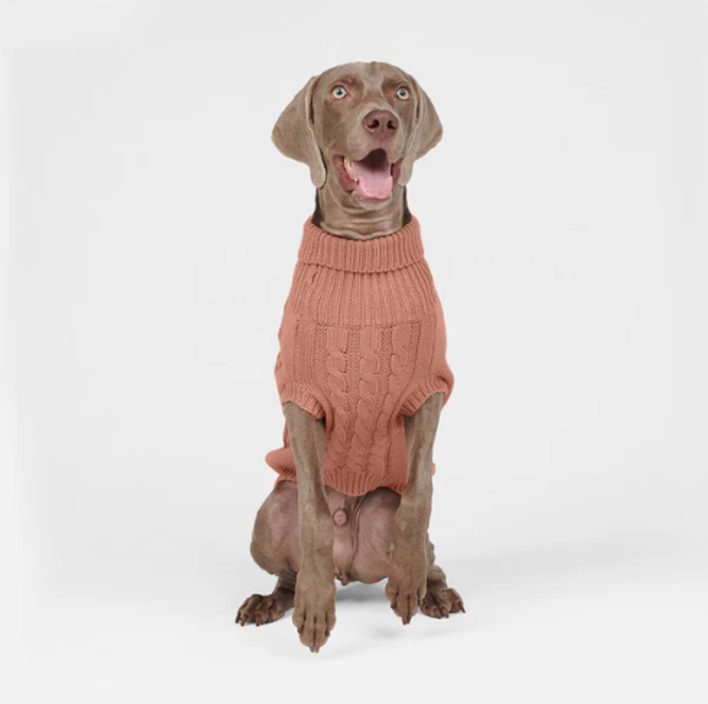 螢幕擷取畫面 2025-12-20 213930