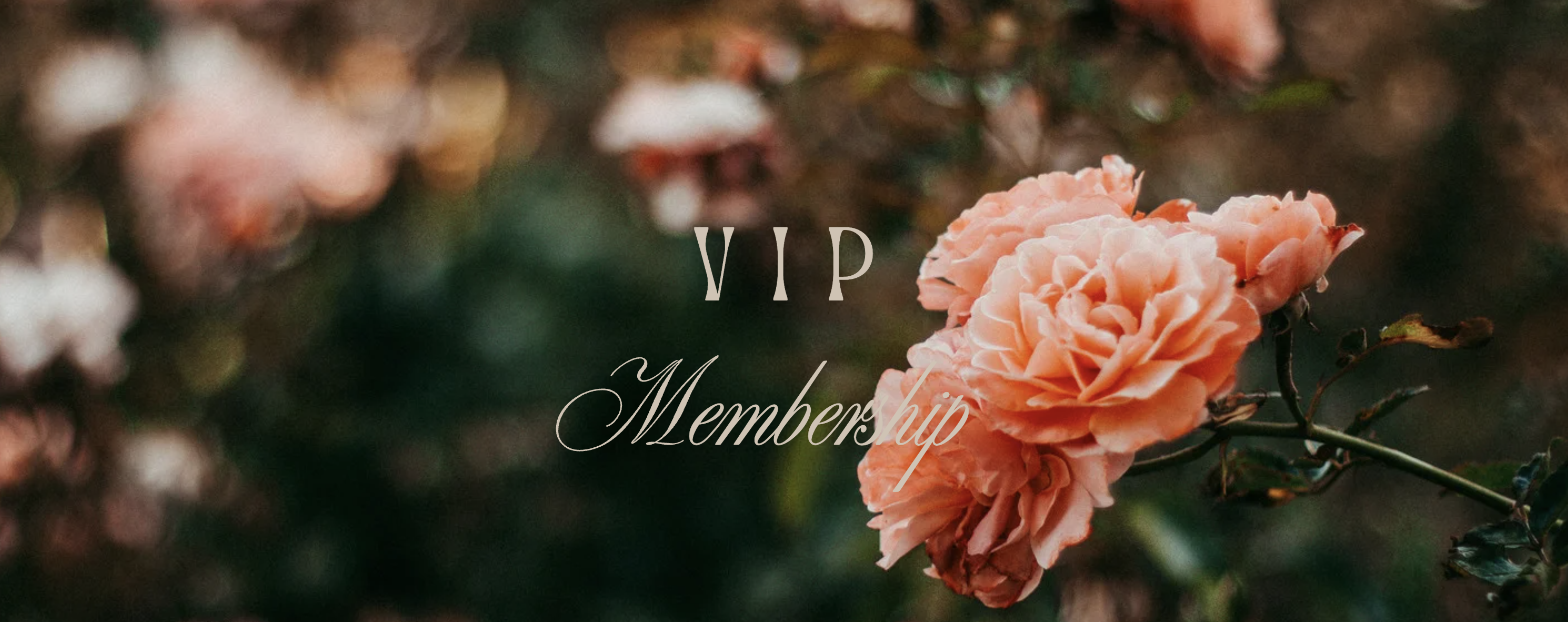 ROSA VIP 享優惠與專屬服務