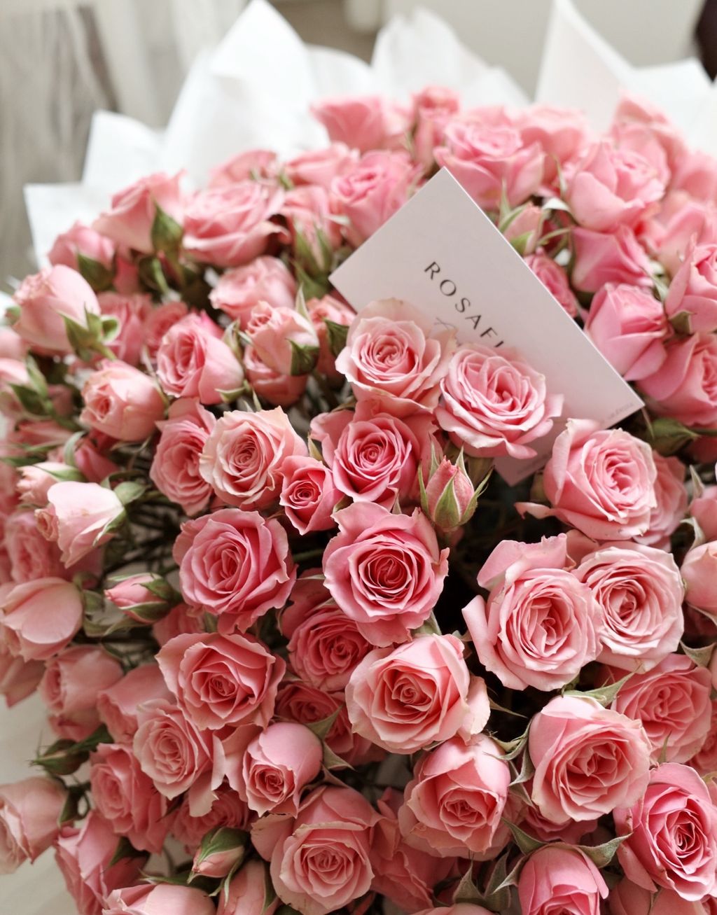 640879575_18397717690176729_1643442854895381878_n