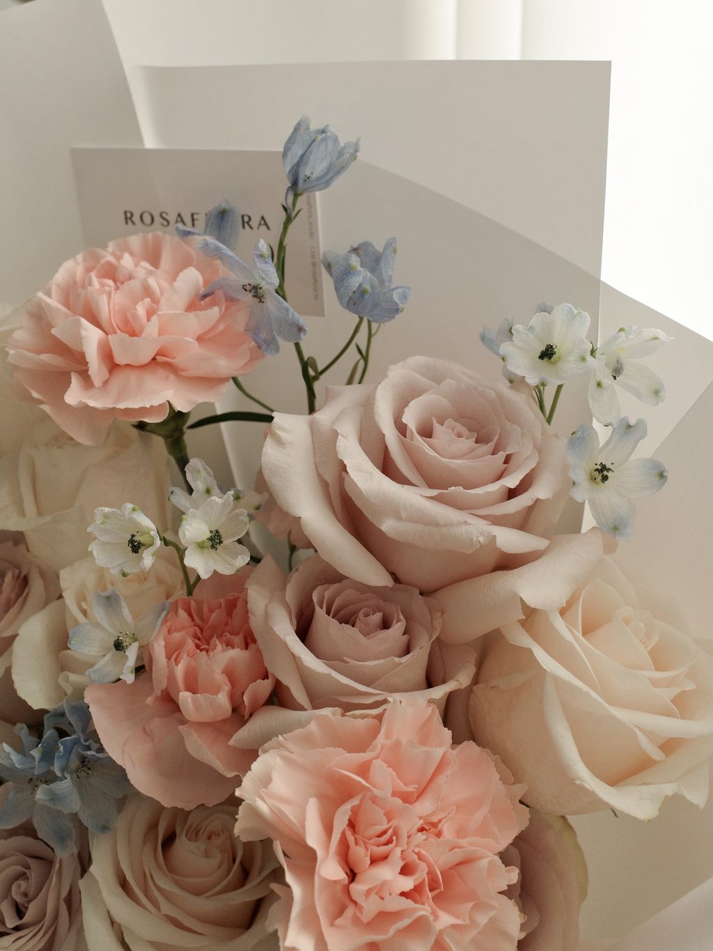 image_EEAB4FC8-626D-4183-ABA7-8725BBEB92AB_1773150310