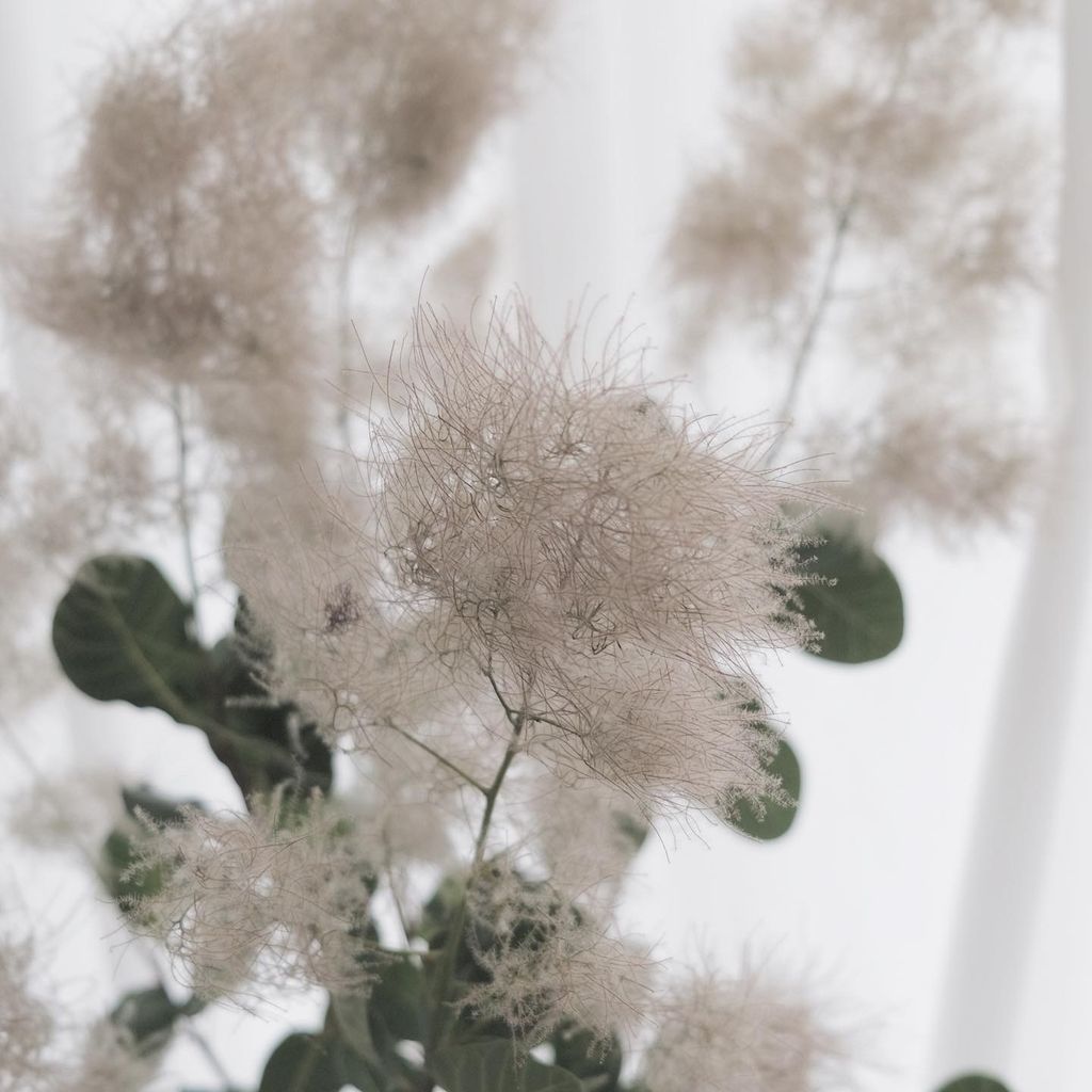 3489C1B6-7A90-44D6-81FD-DA2847FC001D