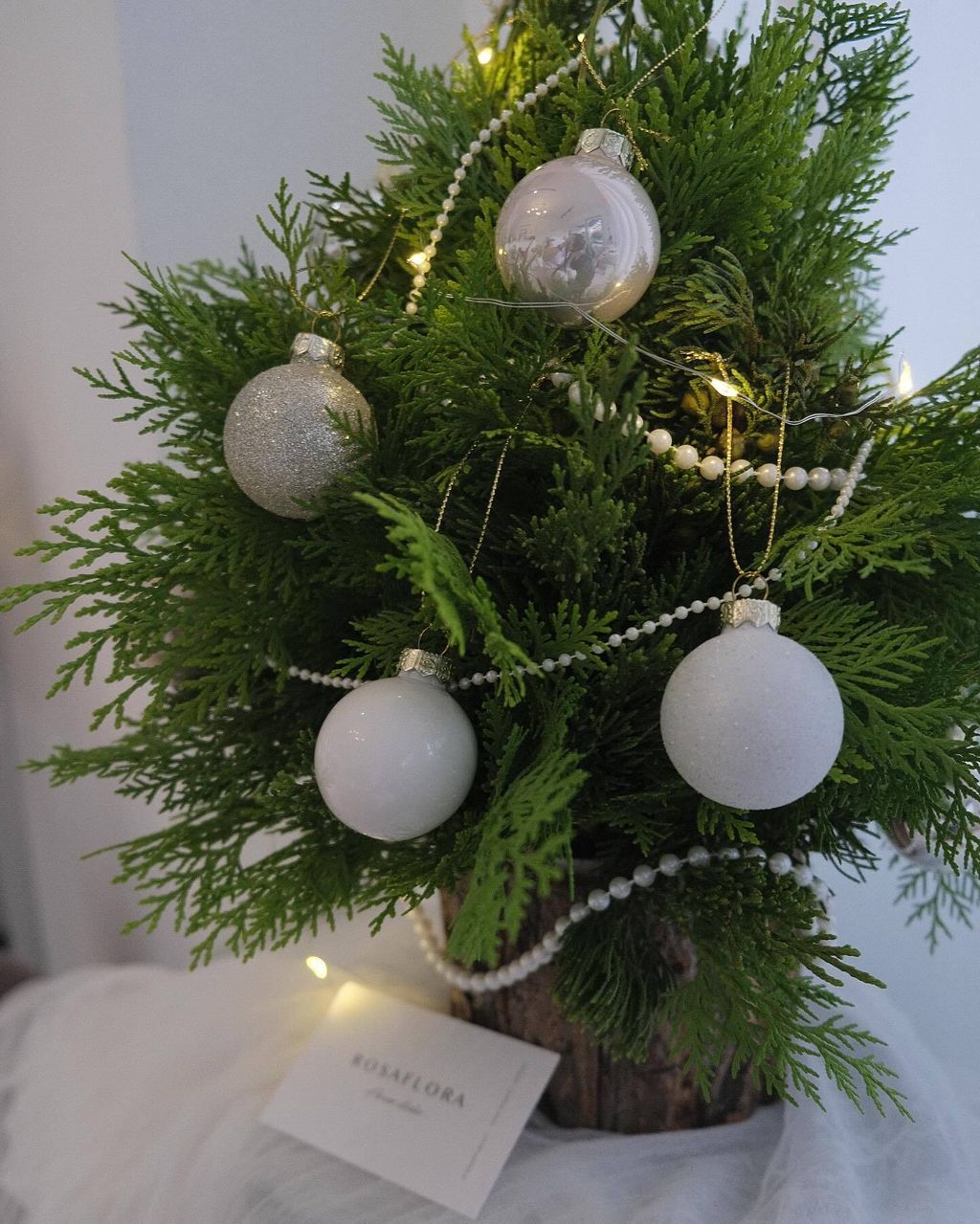 400137031_18290618530176729_8344850208971814717_n