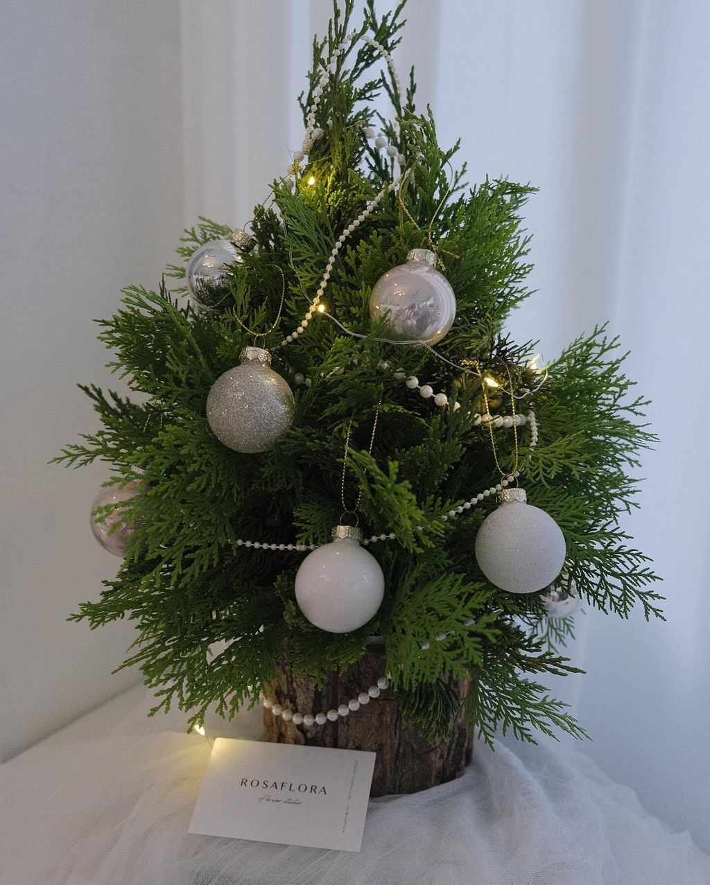 399975782_18290618512176729_2414444767519129290_n