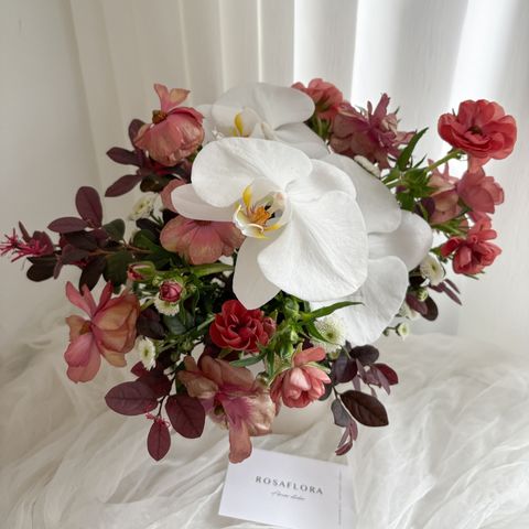 464612798_18334914316176729_5453675697399494187_n (1)