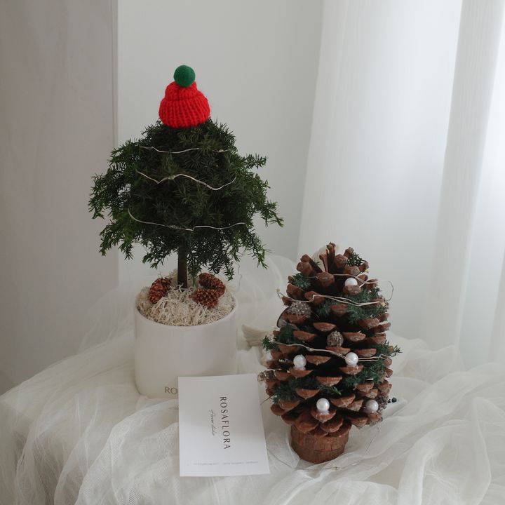 R0000271