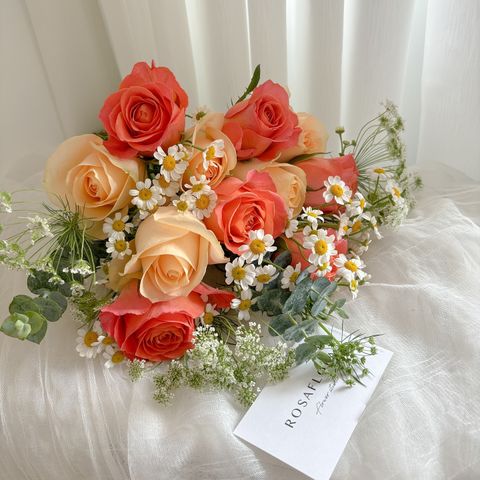 517572228_18365233423176729_3463138595360535119_n