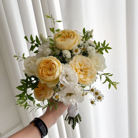 525913119_18367967050176729_2606272960885696655_n