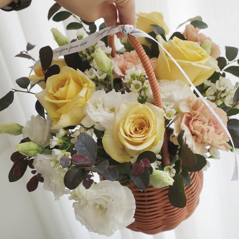 550413559_18373644250176729_6993949437764745539_n