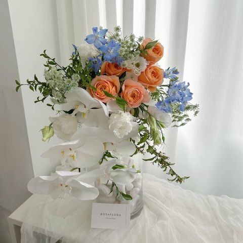 548864527_18373407565176729_5177870498513147858_n