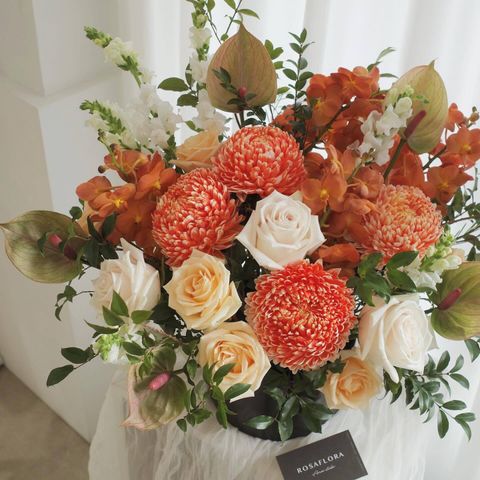 558848689_18376250929176729_1384800334017712514_n