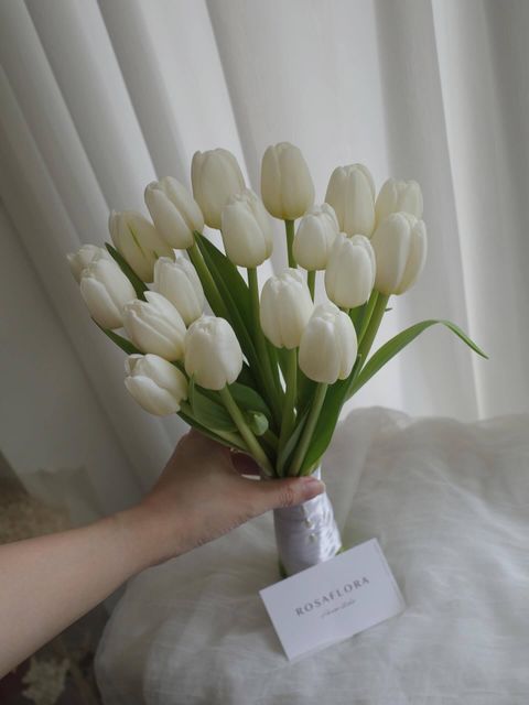 561239486_18377137594176729_7642530199917302722_n