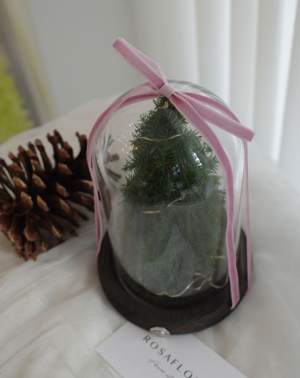 587413726_18384768496176729_3099824070292946799_n