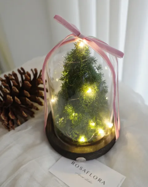 589096609_18384768487176729_8477148353642128630_n