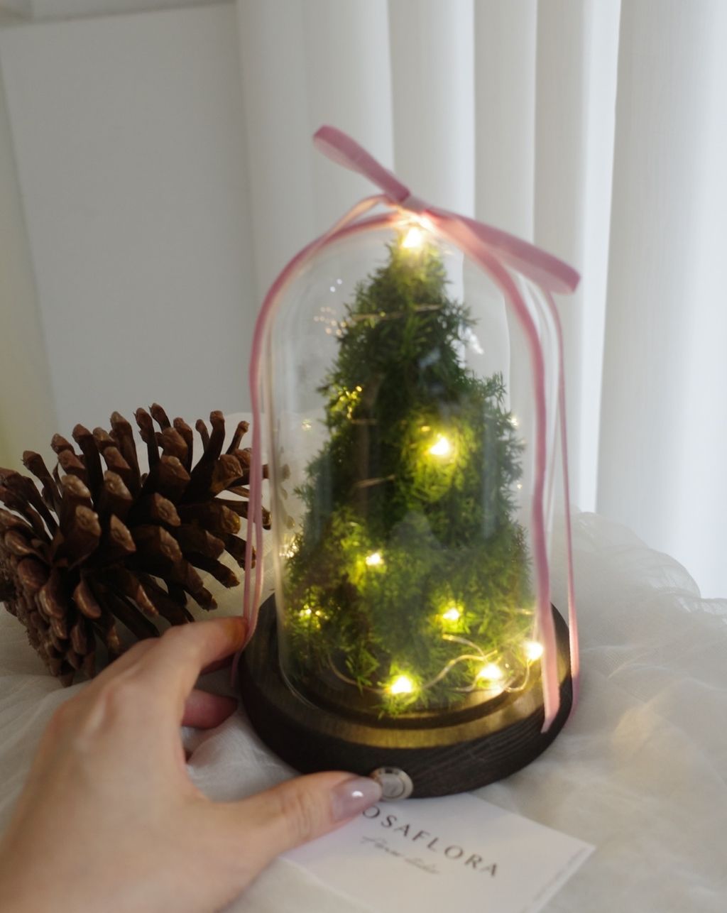 587810559_18384768484176729_944745472310379462_n