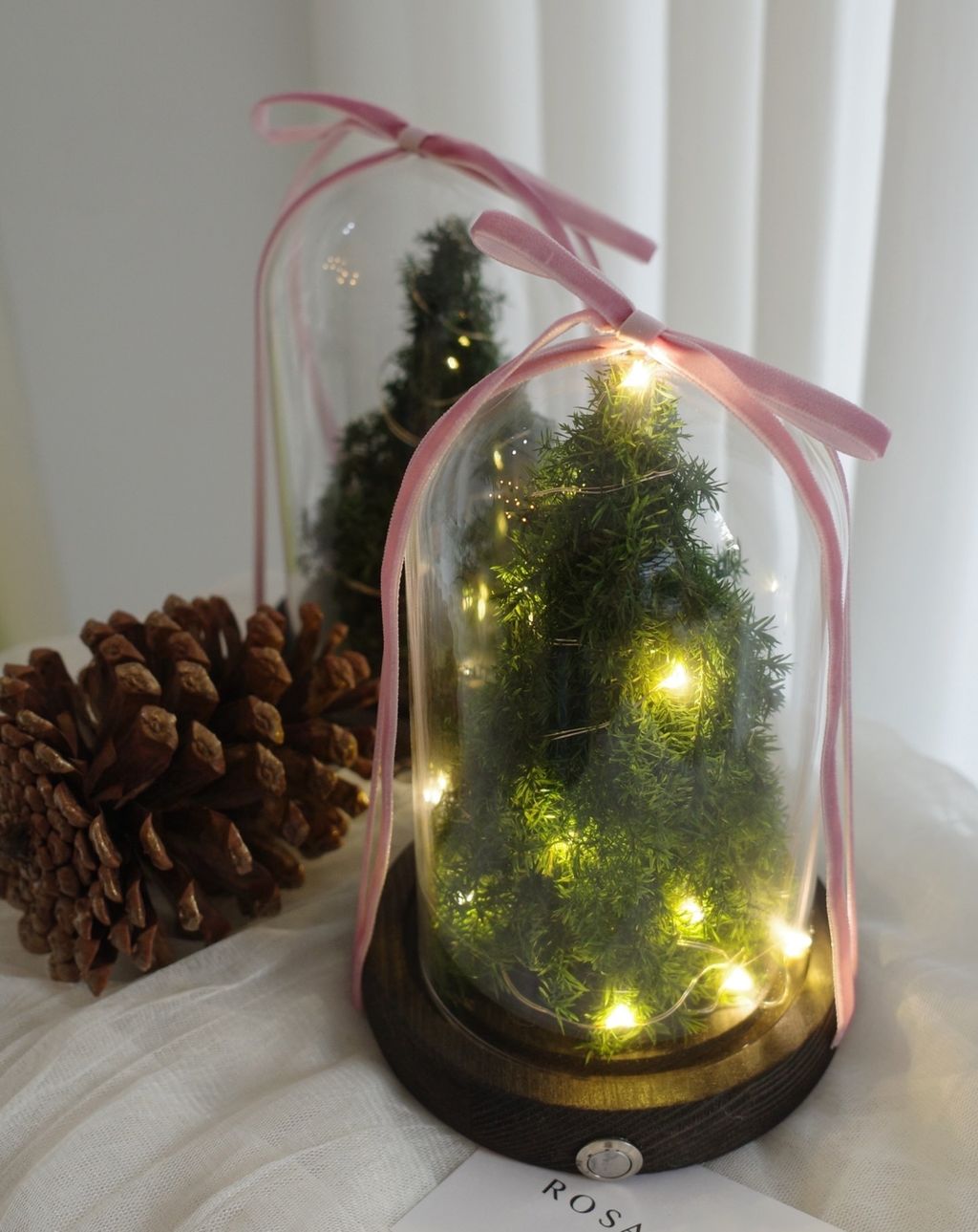 588092767_18384768469176729_3978670965311546144_n