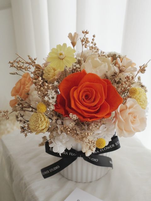 583108602_18383926153176729_7602124381328096675_n