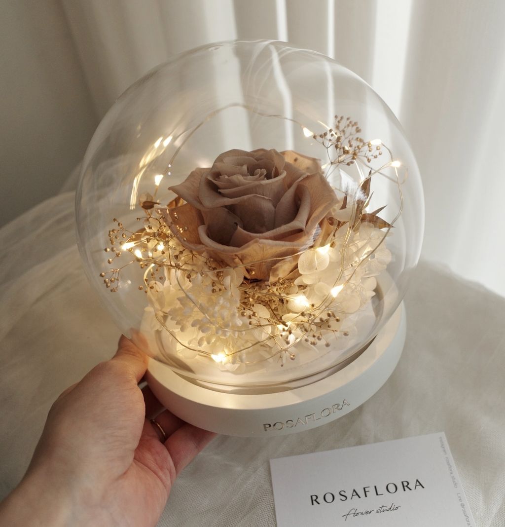 612503364_18389576593176729_3417302418771339036_n