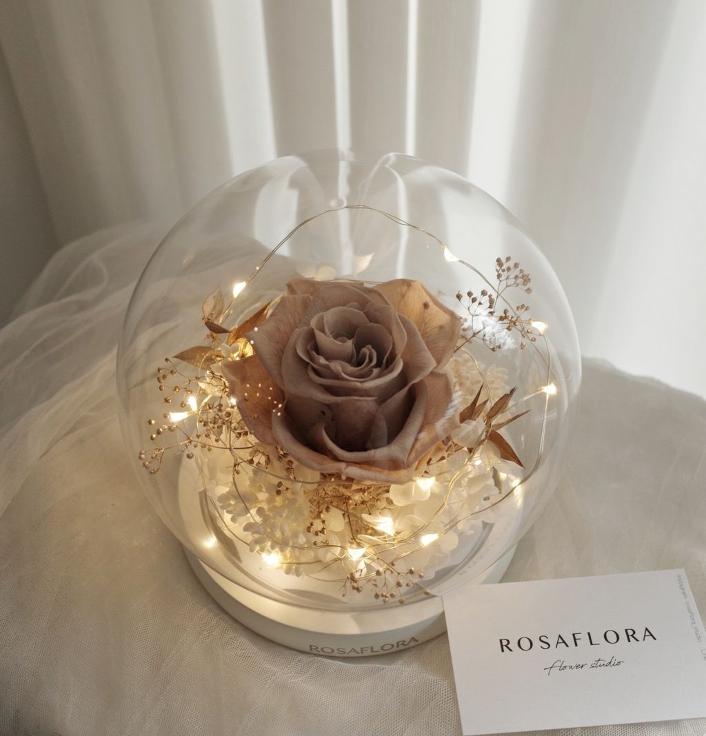 612097739_18389576581176729_4870024111121656943_n