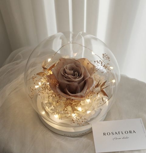 612097739_18389576581176729_4870024111121656943_n