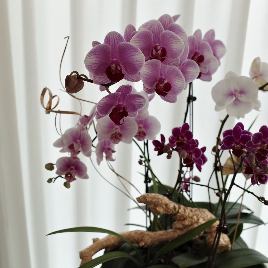 628004933_18394316920176729_1874561453430909208_n