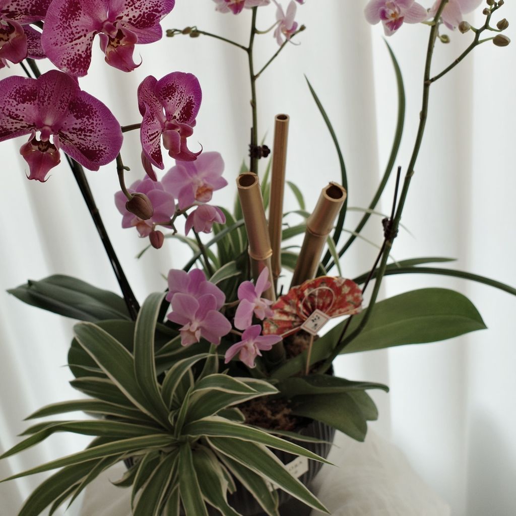 629154250_18394316902176729_26250849344338831_n