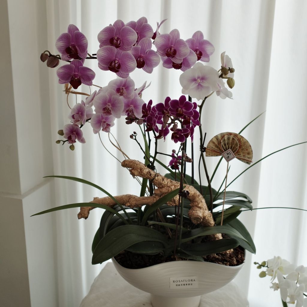 630134049_18394316911176729_1427510767664399467_n