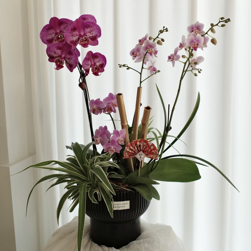 630104773_18394316893176729_3170911744720247415_n