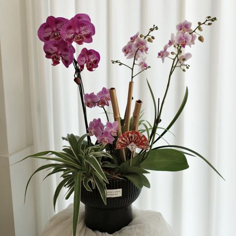 630104773_18394316893176729_3170911744720247415_n