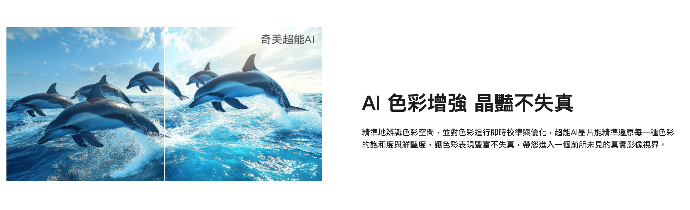 截圖 2026-02-05 下午1.43.15